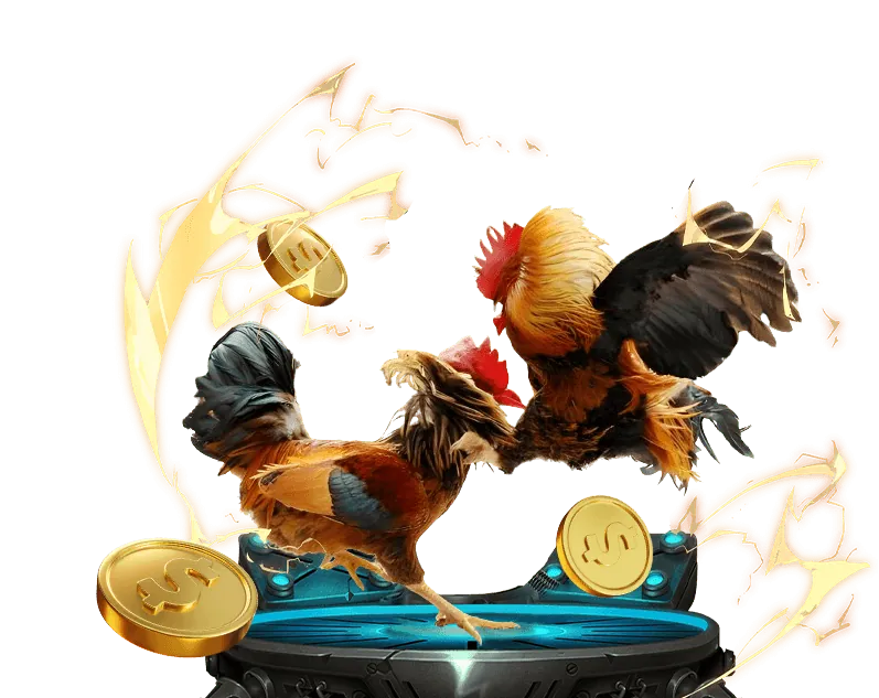 Các sảnh đá gà uy tín tại FK88